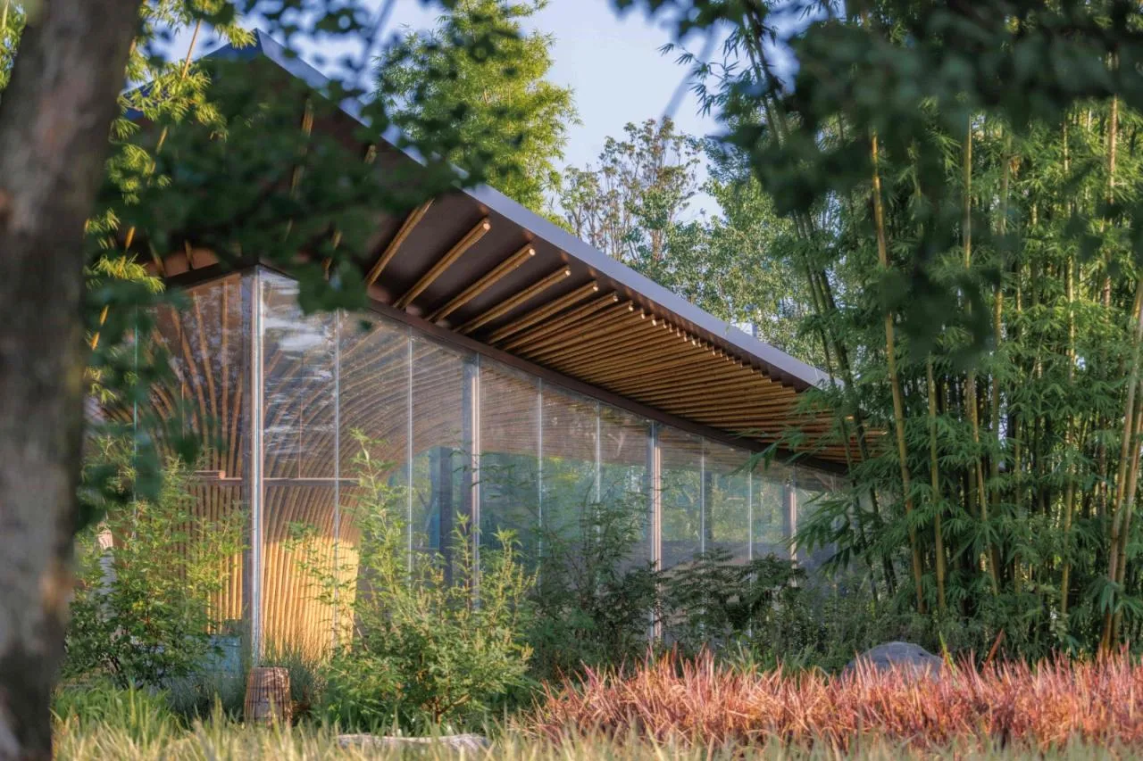 BIM Architecture | Good Cooling Under Large Leaves: Xingcheng Exhibition Park/Xiaoyin Architecture at the 2024 Chengdu International Horticultural Exposition