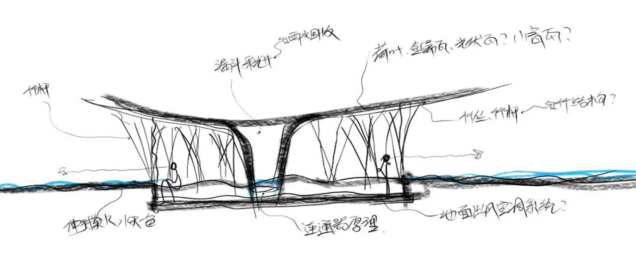 BIM Architecture | Good Cooling Under Large Leaves: Xingcheng Exhibition Park/Xiaoyin Architecture at the 2024 Chengdu International Horticultural Exposition