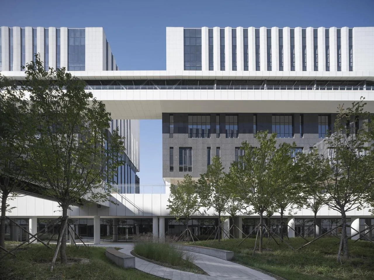 BIM Architecture | Beijing Yizhuang Cell Therapy R&D Pilot Base/Beijing Industrial Design and Research Institute
