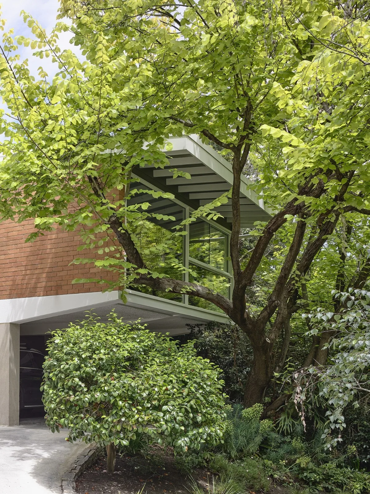 BIM Architecture | Connected Home/Albert Mo Architects