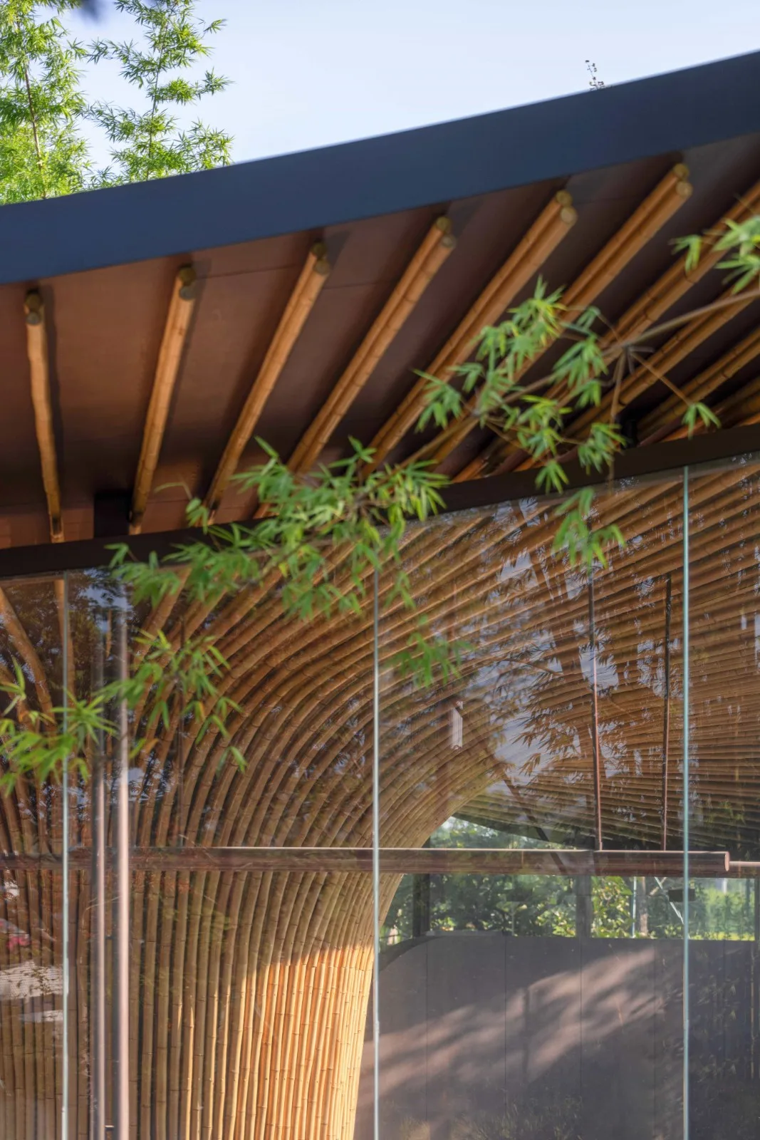 BIM Architecture | Good Cooling Under Large Leaves: Xingcheng Exhibition Park/Xiaoyin Architecture at the 2024 Chengdu International Horticultural Exposition