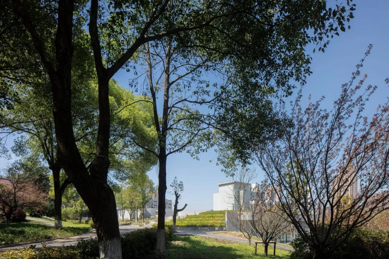 BIM Architecture | Changsha Nanya Middle School Library/China Machinery International Luojin Studio