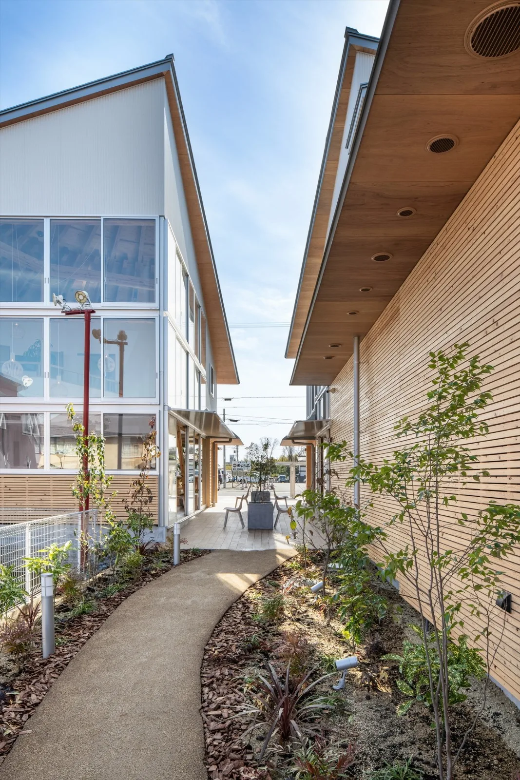 BIM Architecture | Xuzhisen Internal Medicine and Gastrointestinal Clinic/TSC Architects