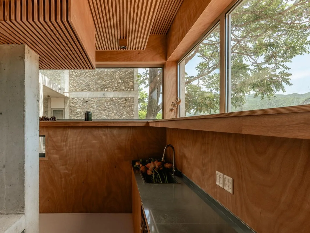 BIM Architecture | Wasteland Park, Bluff and Giant Hot Pot/Inspection Society Office