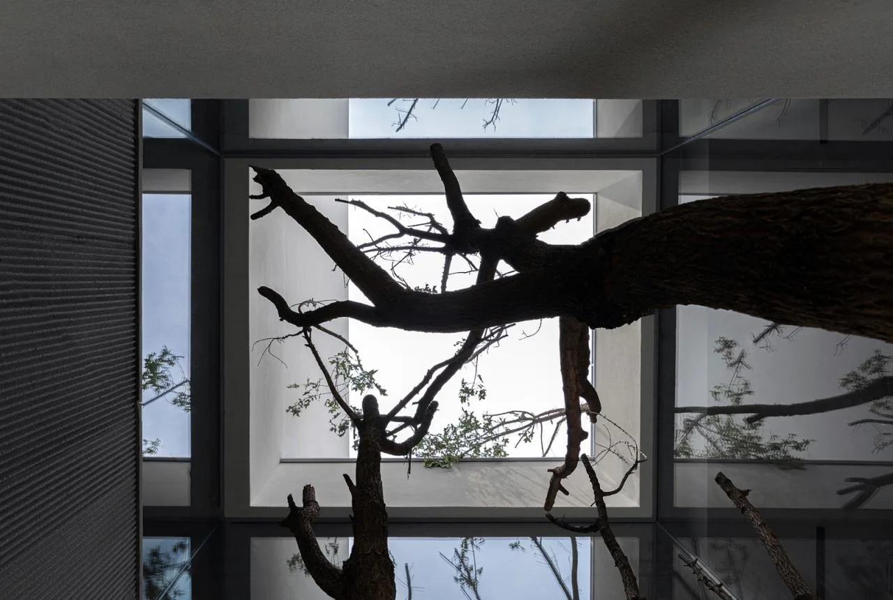 BIM Architecture | Jumping into the Sea Hood - Anaya Queyue Town/Wushan Architecture