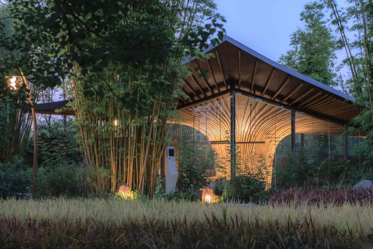 BIM Architecture | Good Cooling Under Large Leaves: Xingcheng Exhibition Park/Xiaoyin Architecture at the 2024 Chengdu International Horticultural Exposition