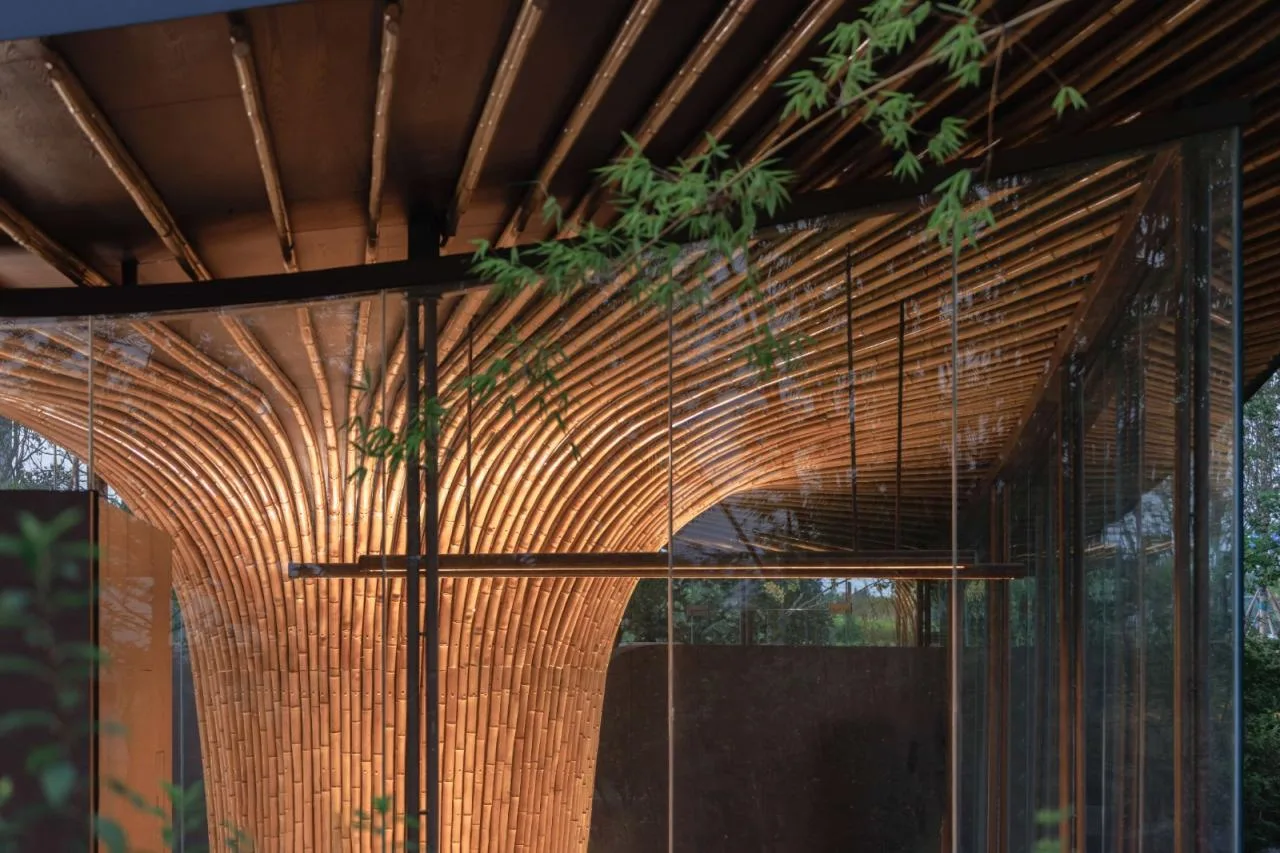 BIM Architecture | Good Cooling Under Large Leaves: Xingcheng Exhibition Park/Xiaoyin Architecture at the 2024 Chengdu International Horticultural Exposition
