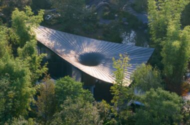 BIM Architecture: Effective Cooling Beneath Large Leaves at Xingcheng Exhibition Park | Xiaoyin Architecture at the 2024 Chengdu International Horticultural Expo-BIM WORLD