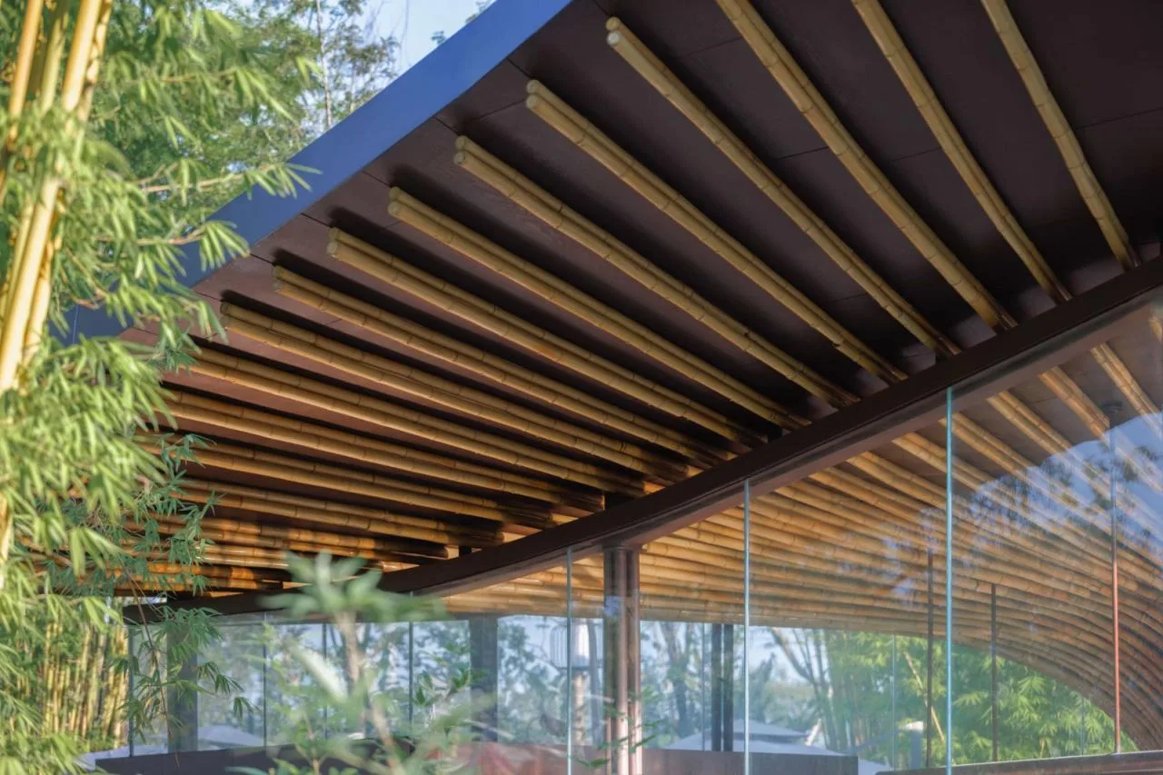 BIM Architecture | Good Cooling Under Large Leaves: Xingcheng Exhibition Park/Xiaoyin Architecture at the 2024 Chengdu International Horticultural Exposition