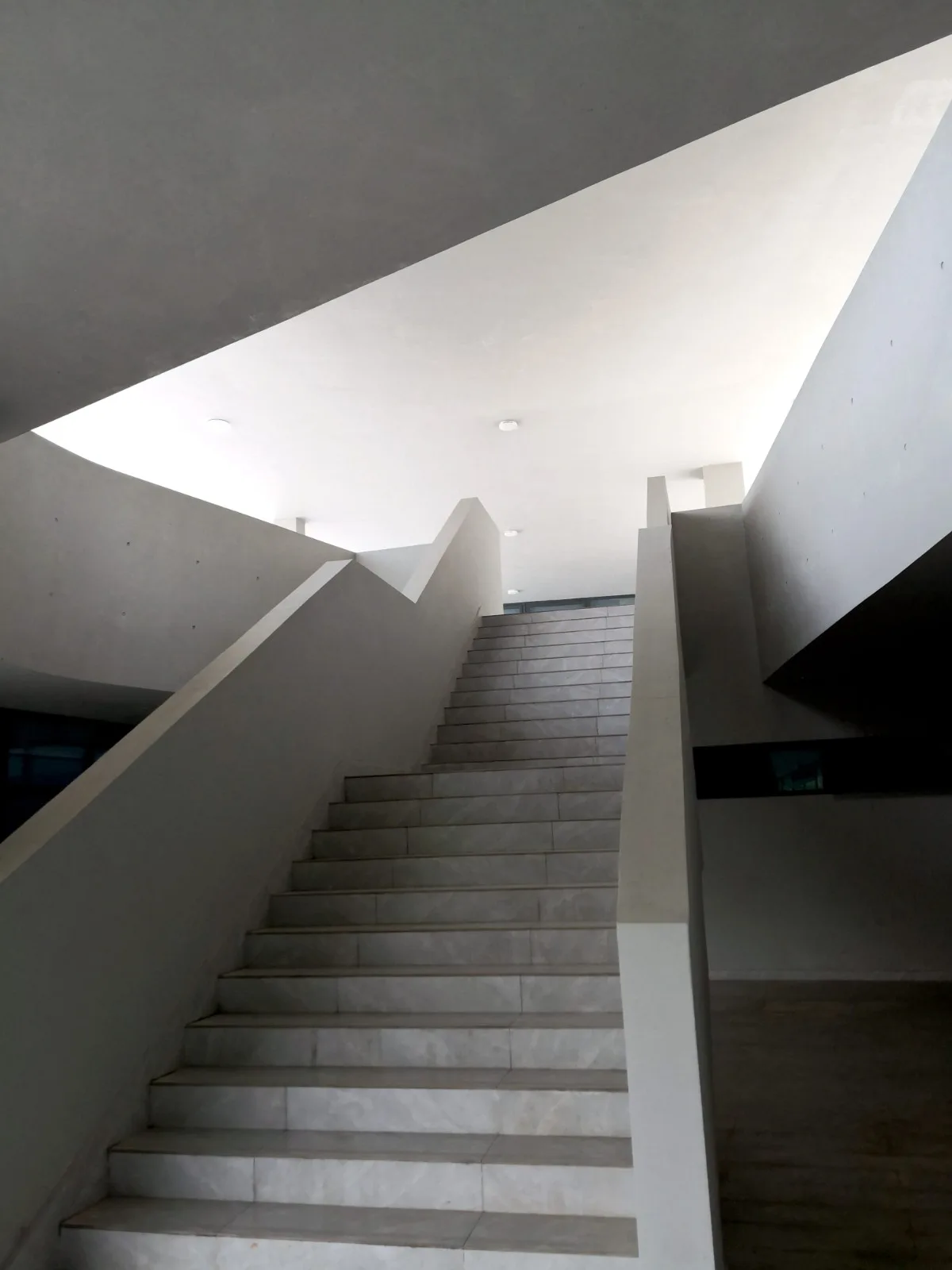 BIM Architecture | Changsha Nanya Middle School Library/China Machinery International Luojin Studio