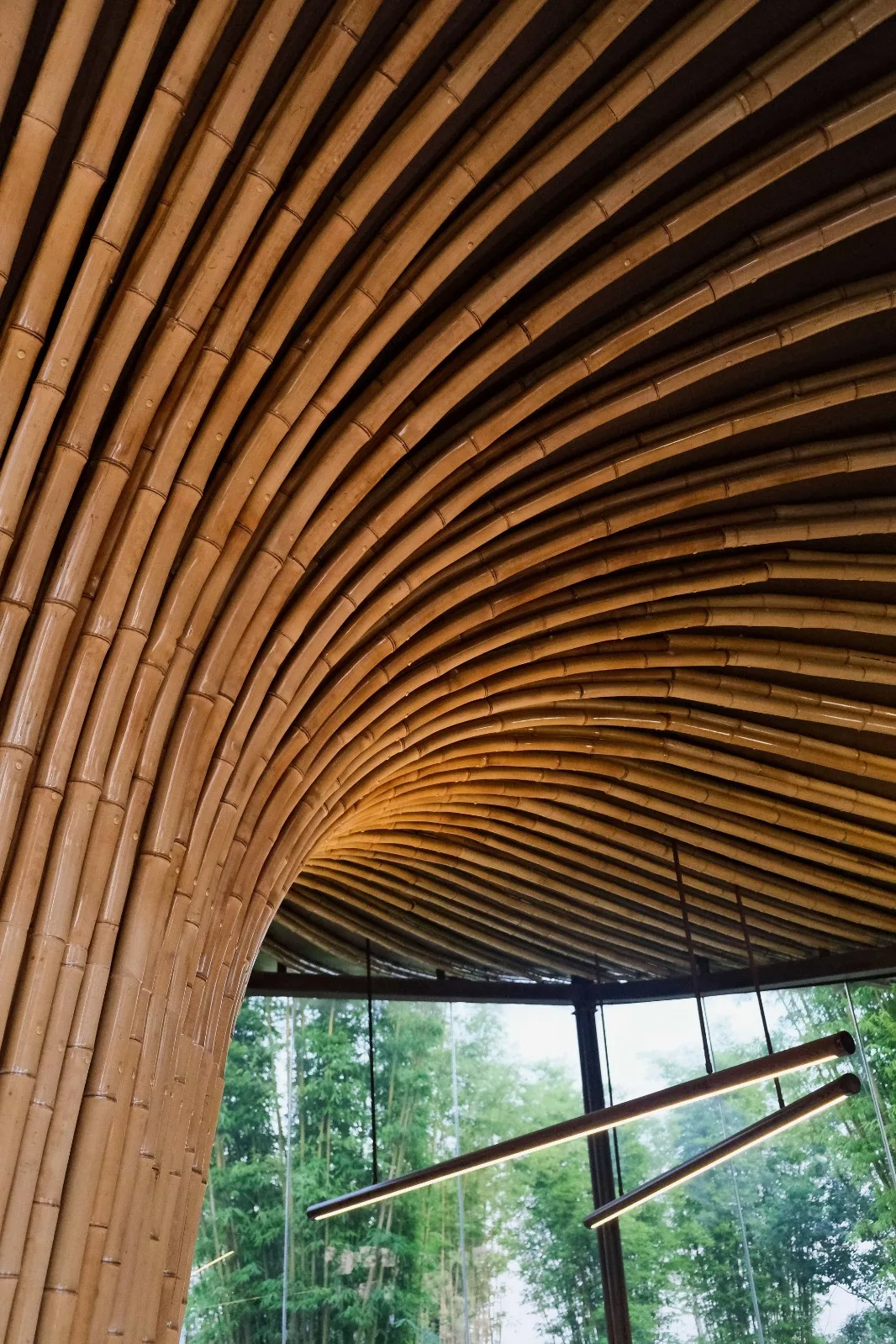 BIM Architecture | Good Cooling Under Large Leaves: Xingcheng Exhibition Park/Xiaoyin Architecture at the 2024 Chengdu International Horticultural Exposition
