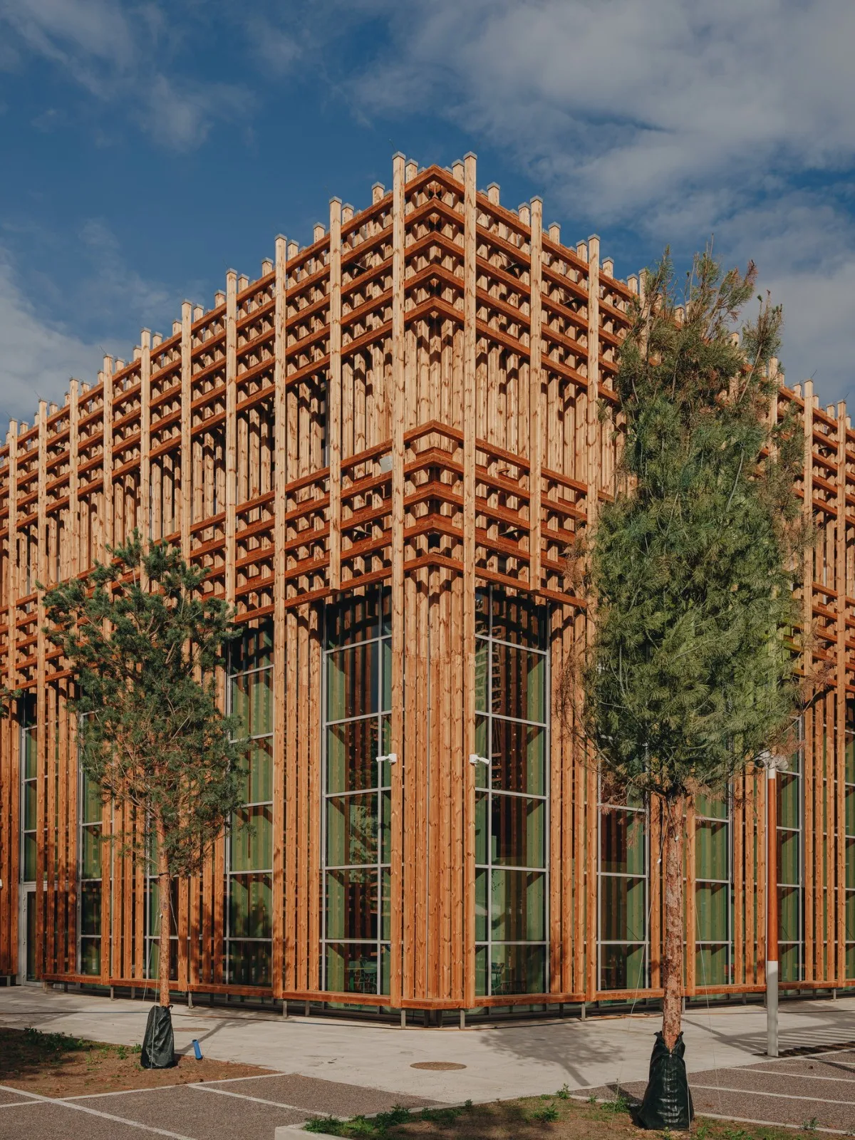 BIM Architecture | Pergolina National High School/Arhitekt Must