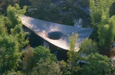 BIM Architecture: Effective Cooling Beneath Large Leaves at Xingcheng Exhibition Park | Xiaoyin Architecture at the 2024 Chengdu International Horticultural Expo-BIM WORLD