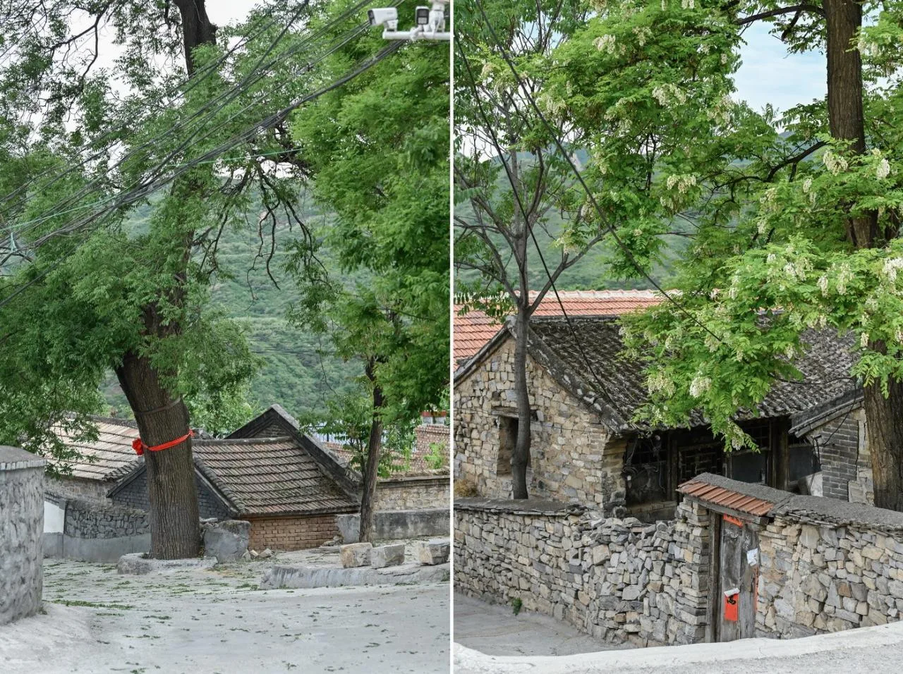 BIM Architecture | Living with Mountains: Backyard • Liushi Port Homestay/GW Space Design