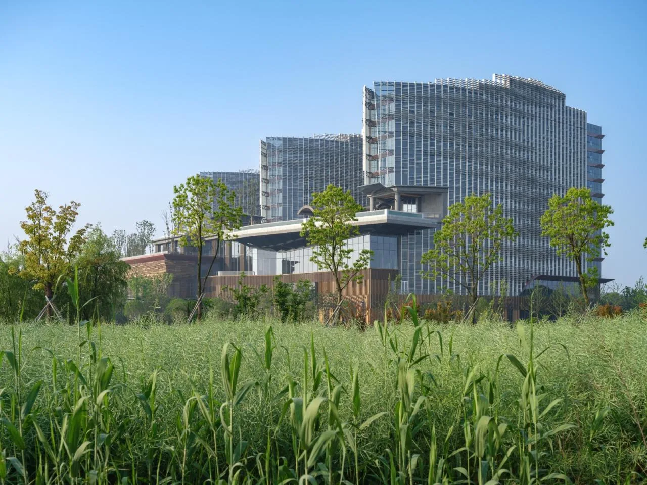 BIM Architecture | Exterior Design of Wuzhen DiShang Hotel/Shanghai Linear Architectural Design Firm