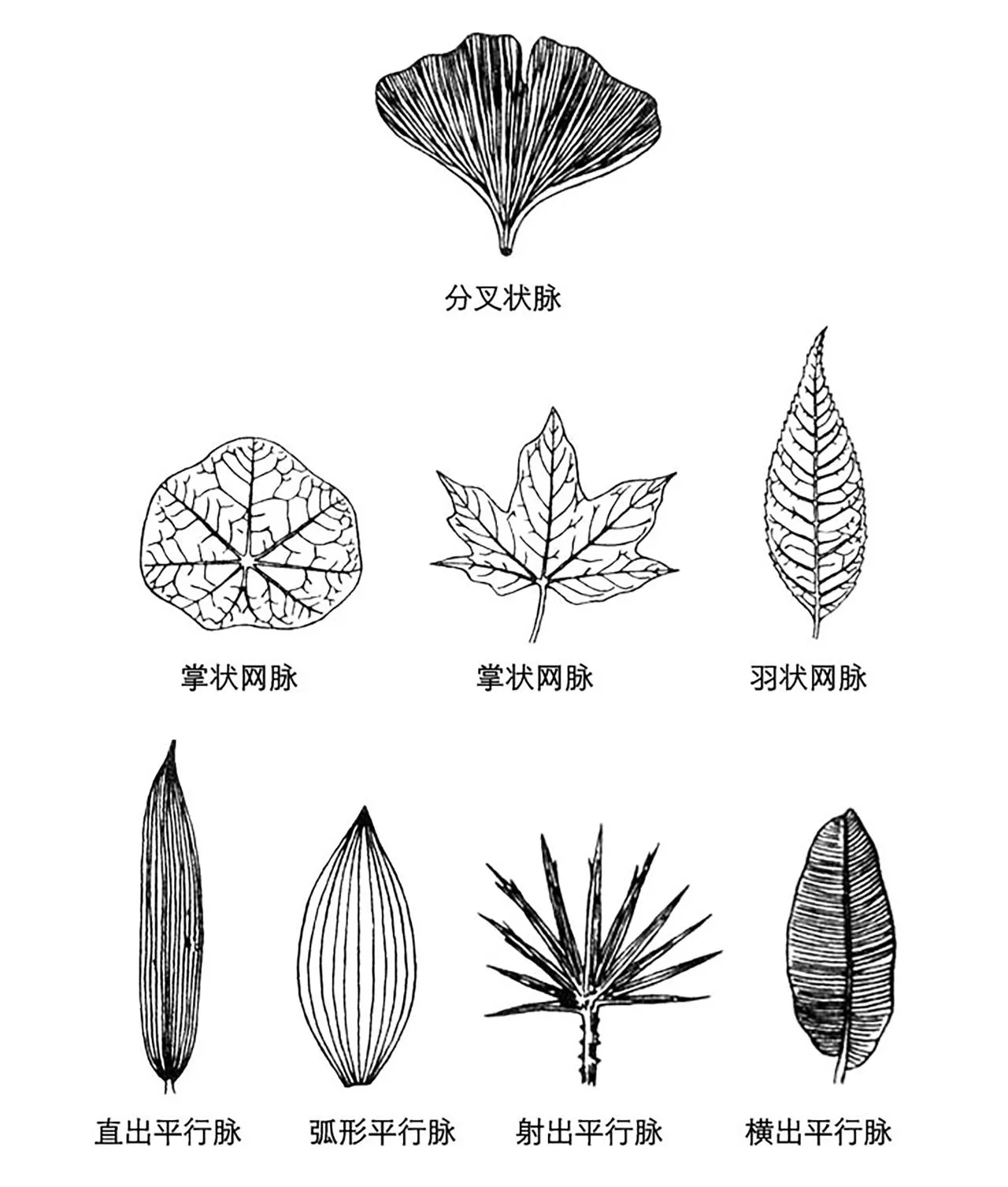 BIM Architecture | Structure of Leaves: Tree House Design for Nanxi Happy Countryside Wild Fun Hotel/Wang Hui Architecture Studio