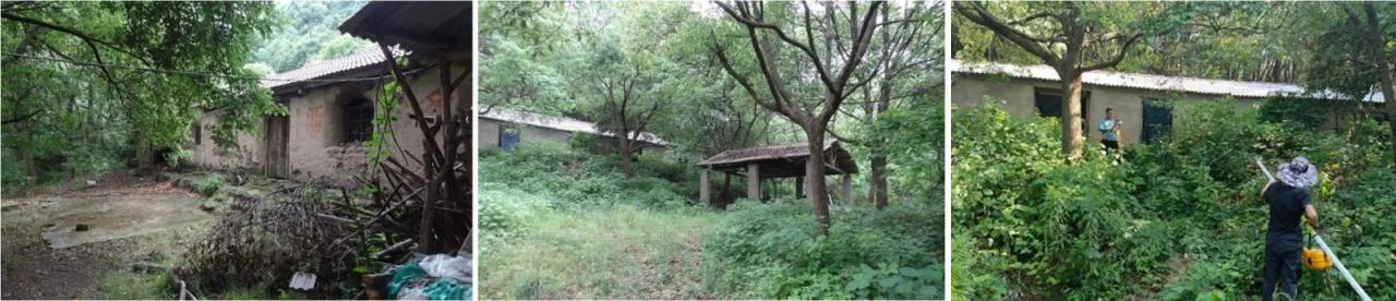 BIM Architecture | Resting in the mountains and valleys, Huwa Slow Time: Huwa Happy Tea Valley, Ketan Town, Lujiang County/China Railway Hefei Municipal Engineering Design and Research Institute Co., Ltd