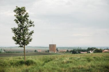 BIM Architecture: Nesvačilka Church of Our Lady by RCNKSK-BIM WORLD