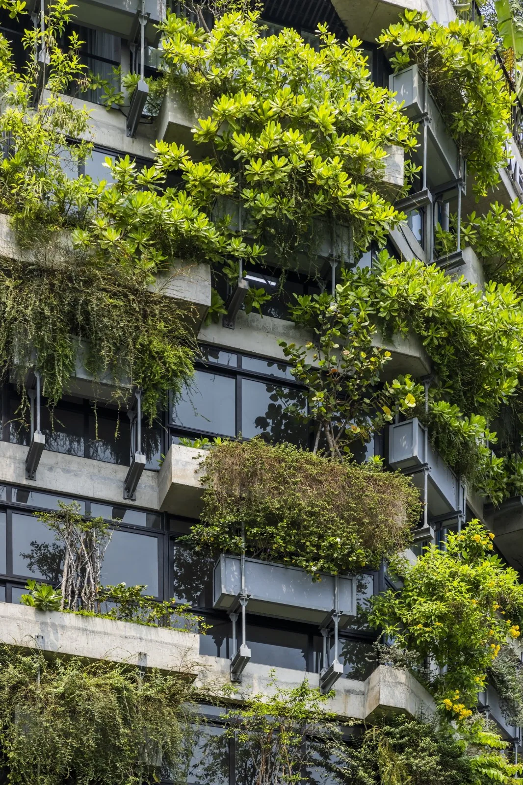 BIM Architecture | AEC 4B Foreign Language Education Center/Ho Khue Architects