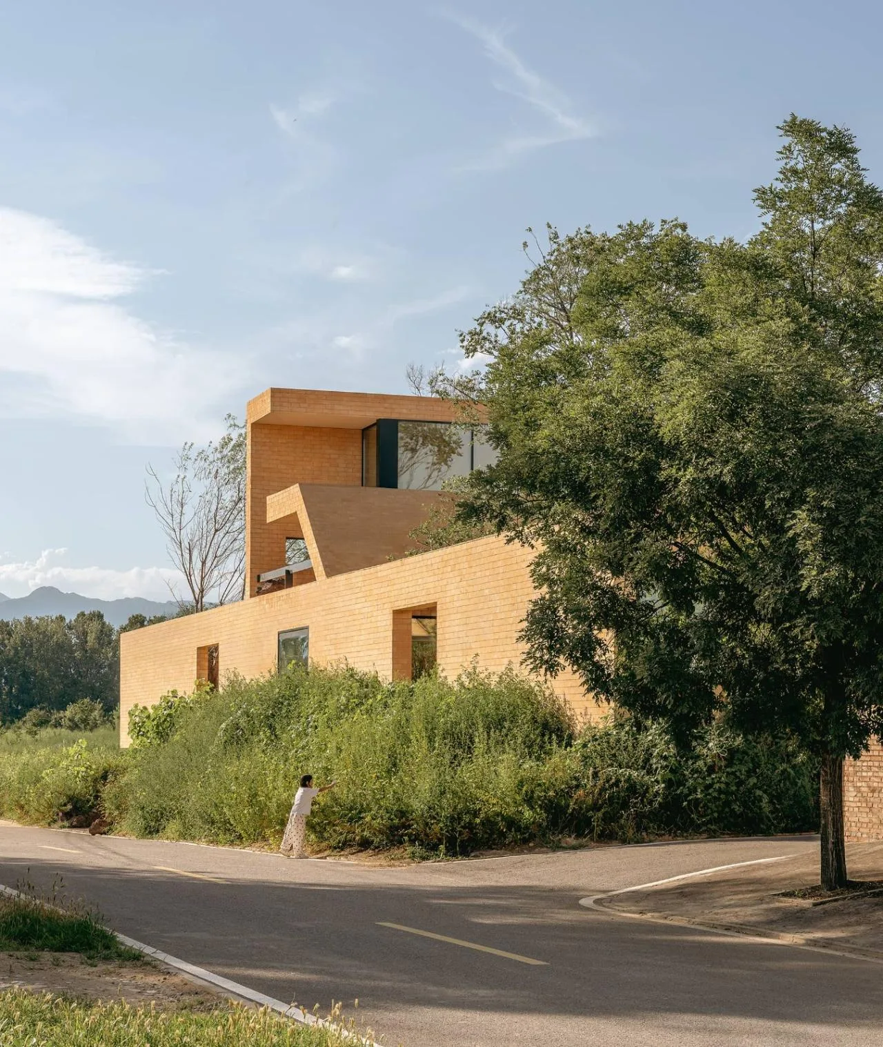BIM Architecture | ARVO 16:30 Hotel: Castle/Large Building that catches the Light, Shadow, Trees and Trees