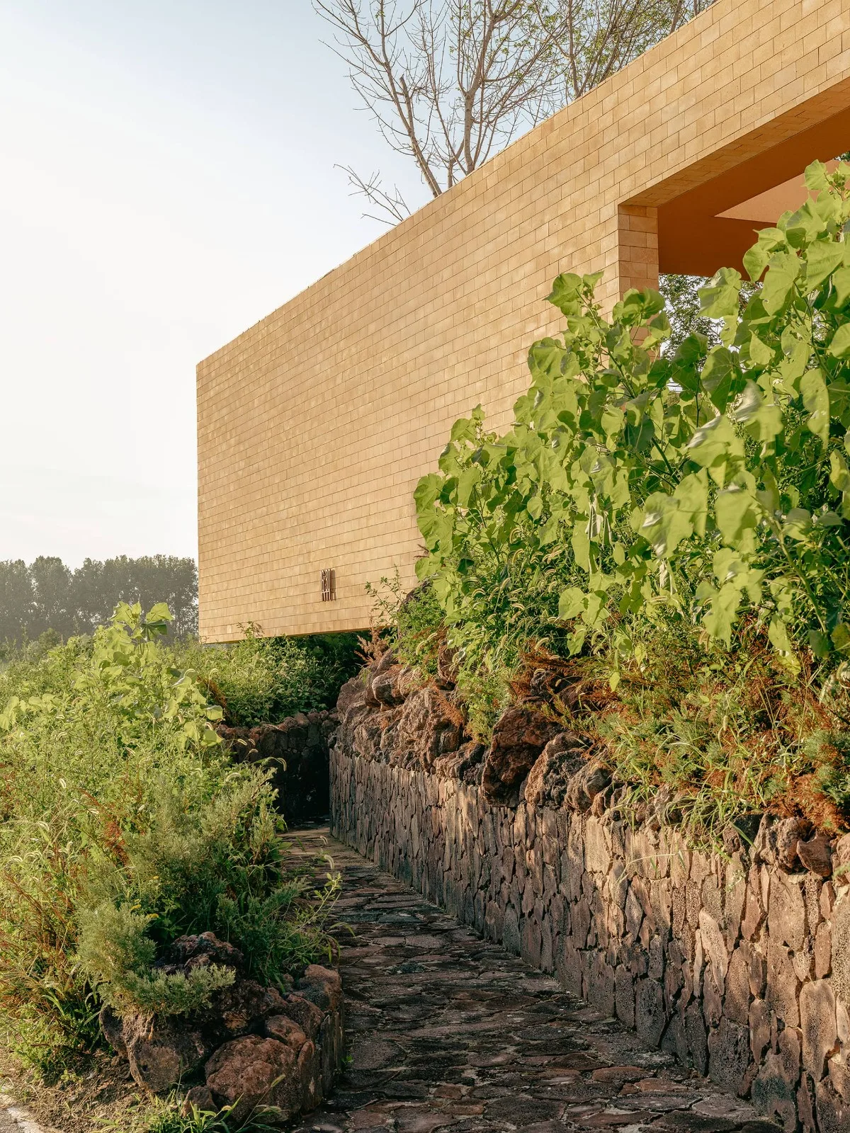BIM Architecture | ARVO 16:30 Hotel: Castle/Large Building that catches the Light, Shadow, Trees and Trees