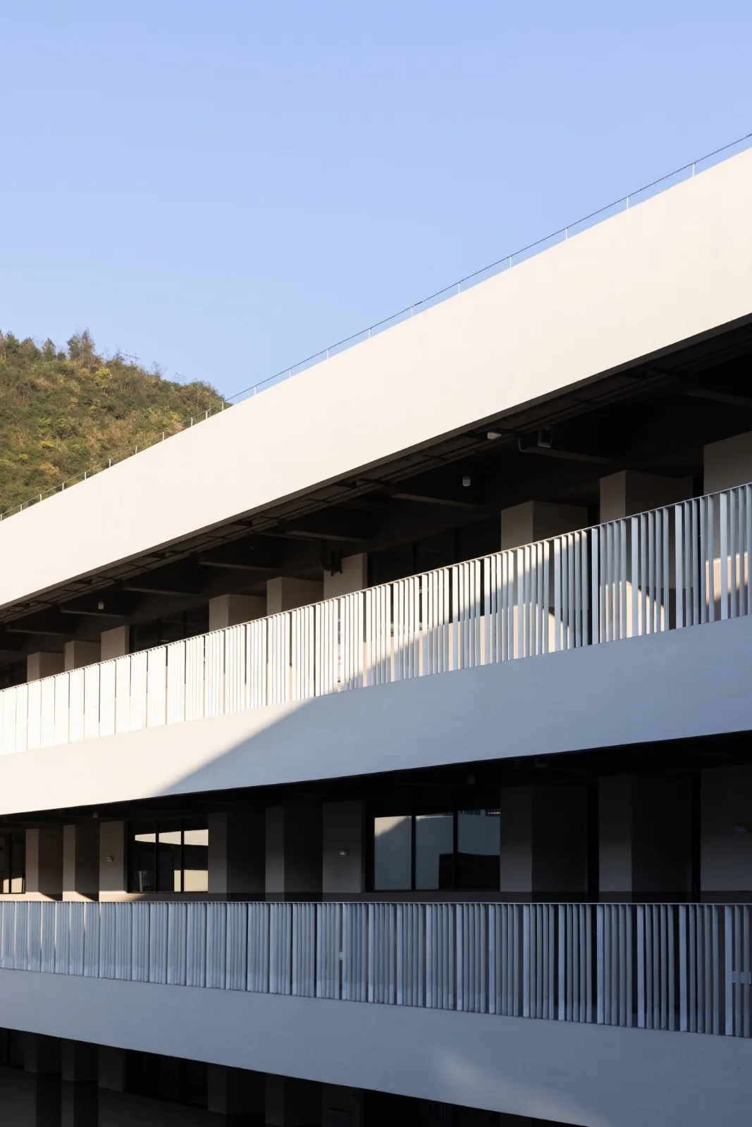 BIM Architecture | Nanshan Wufutang Senior High School/Lowercase Architecture