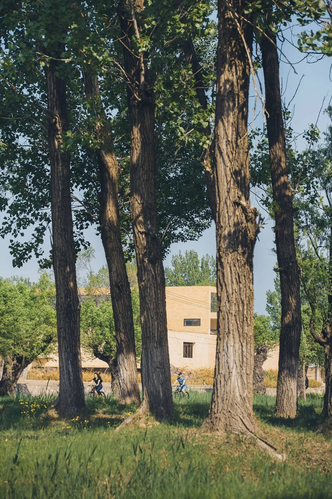 BIM Architecture | ARVO 16:30 Hotel: Castle/Large Building that catches the Light, Shadow, Trees and Trees