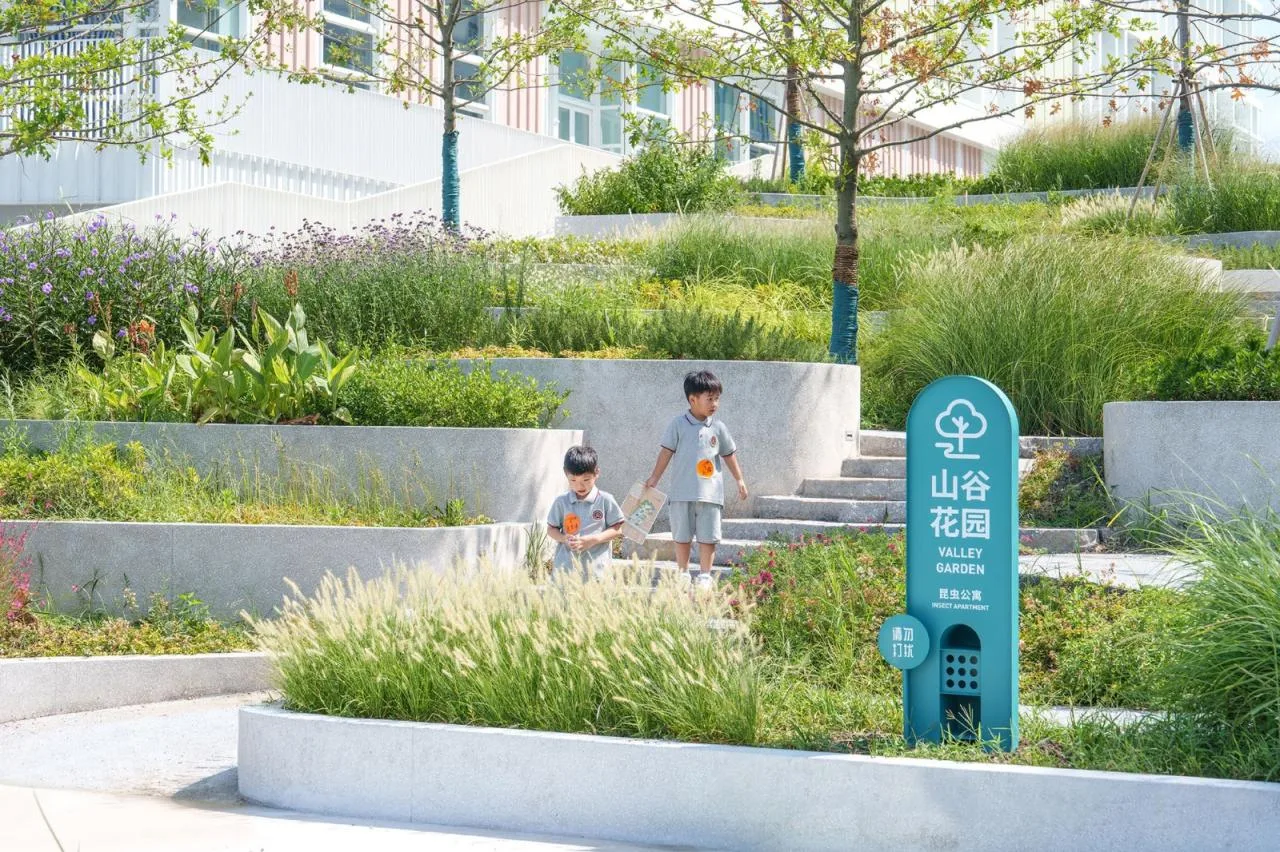 BIM Architecture | Shanghai Experimental School Jiading New City Branch/Daguan Landscape