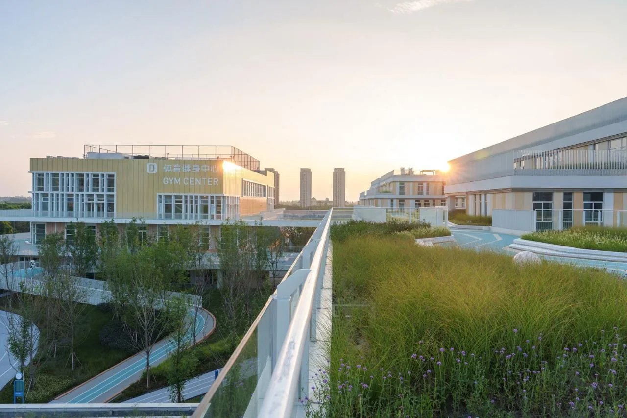 BIM Architecture | Shanghai Experimental School Jiading New City Branch/Daguan Landscape