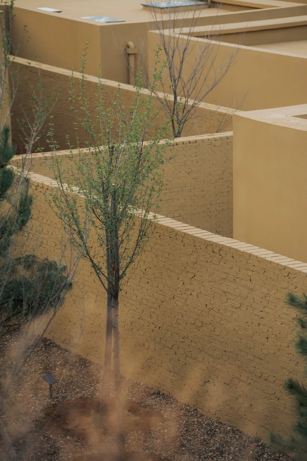 BIM Architecture | KALHA Hotel · "Wolitun" Village Renewal/CPLUS