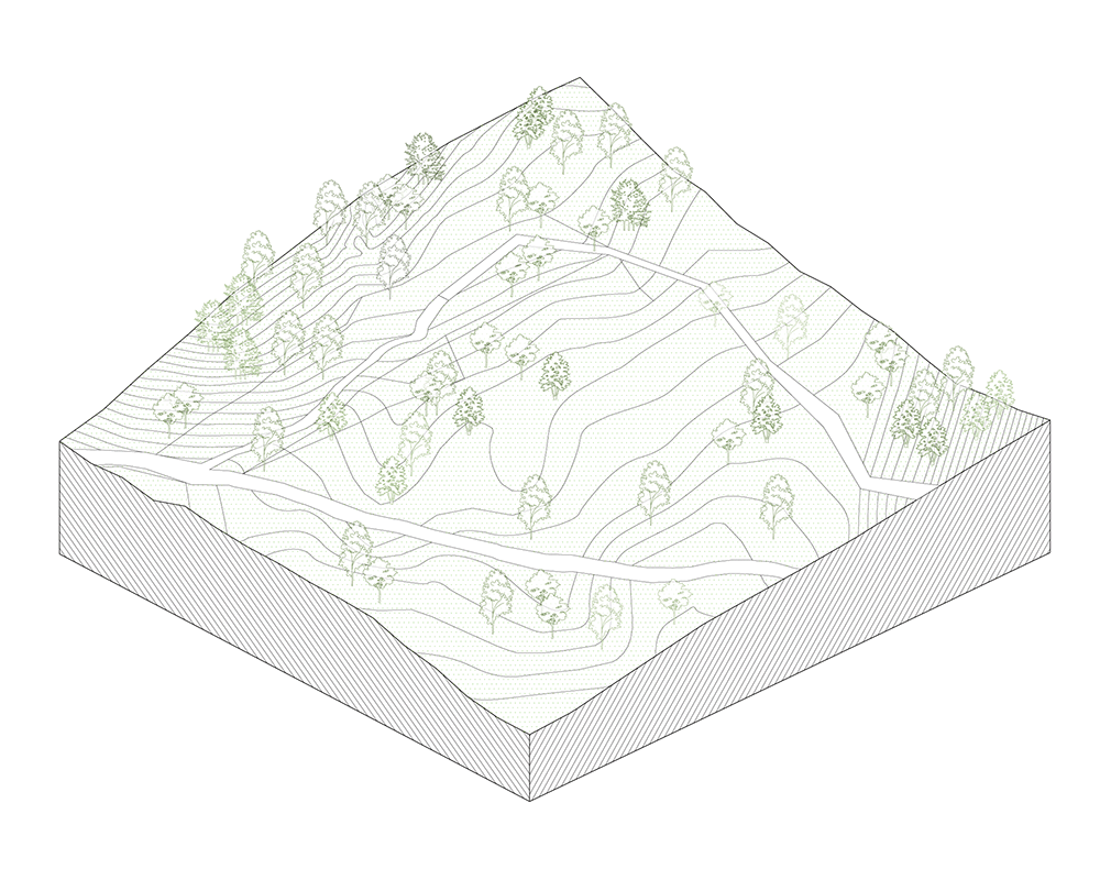 BIM Architecture | KALHA Hotel · "Wolitun" Village Renewal/CPLUS