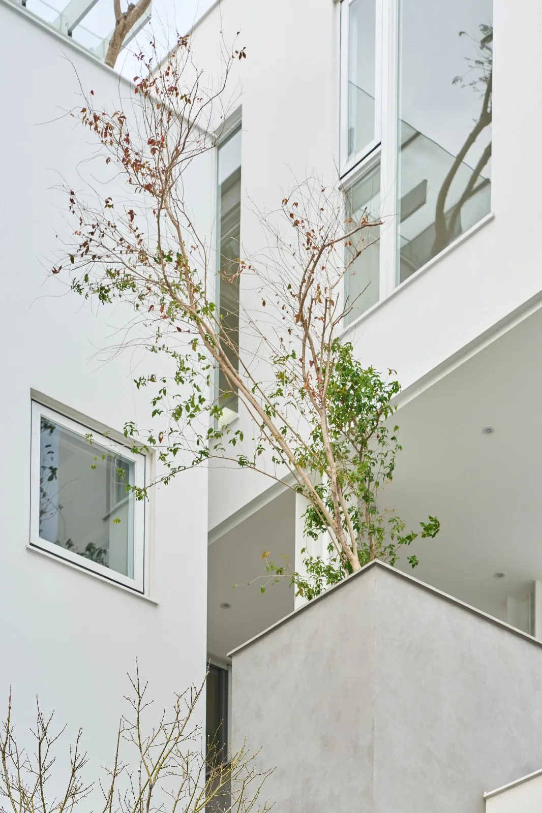 BIM Architecture | Valley House/Soar Design Studio+Ray Architects