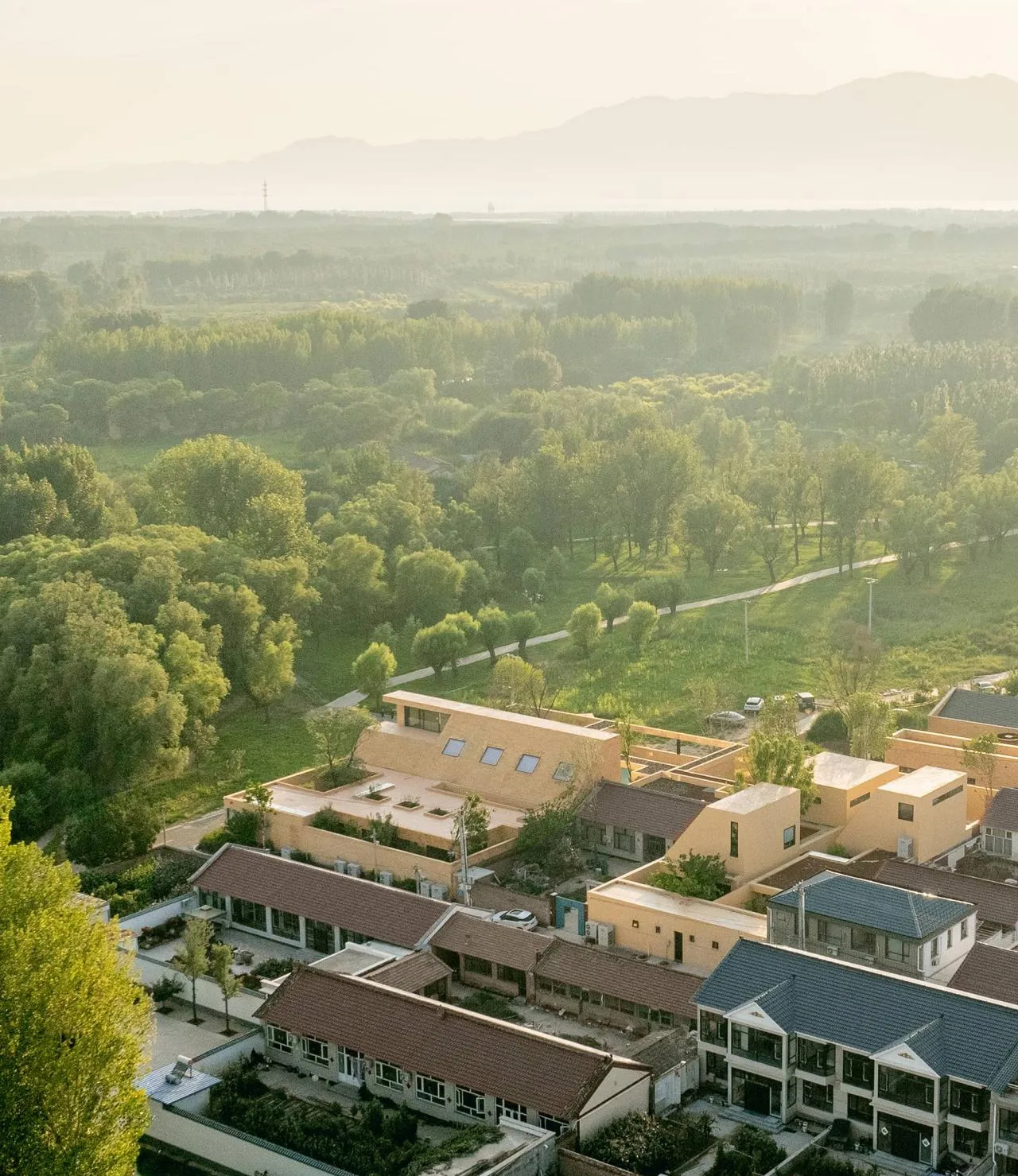 BIM Architecture | ARVO 16:30 Hotel: Castle/Large Building that catches the Light, Shadow, Trees and Trees