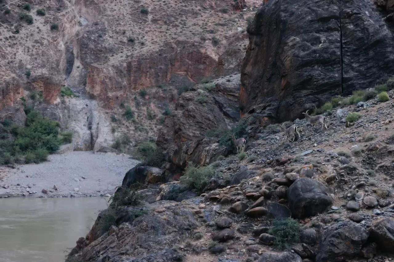 BIM Architecture | Nujiang 72 turn Grand Canyon Scenic Spot in Xizang/Xiaoyin Architecture Firm