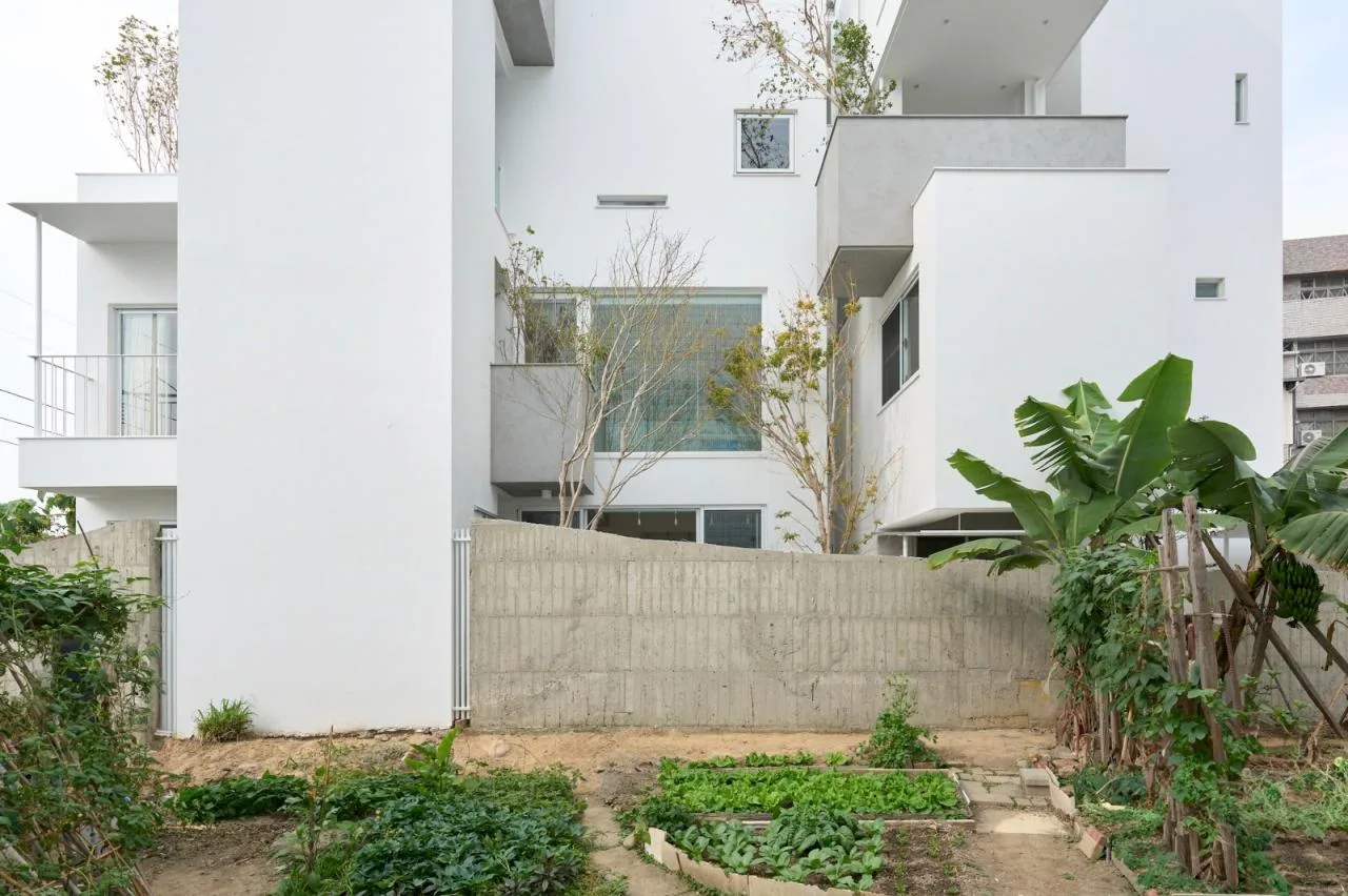 BIM Architecture | Valley House/Soar Design Studio+Ray Architects