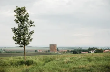 BIM Architecture: Nesvačilka Church of Our Lady by RCNKSK-BIM WORLD
