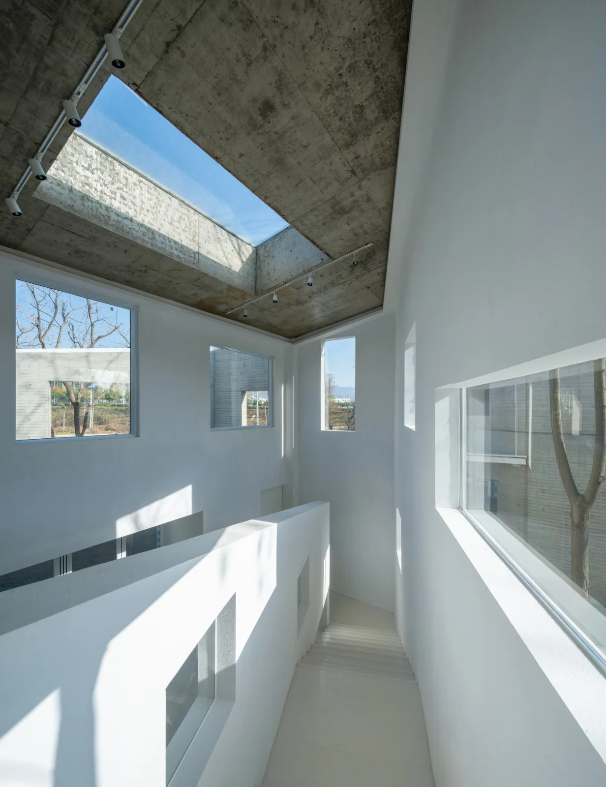 BIM Architecture | Persimmon Ruyi • Nanyeji Homestay/UAO Ruituo Design