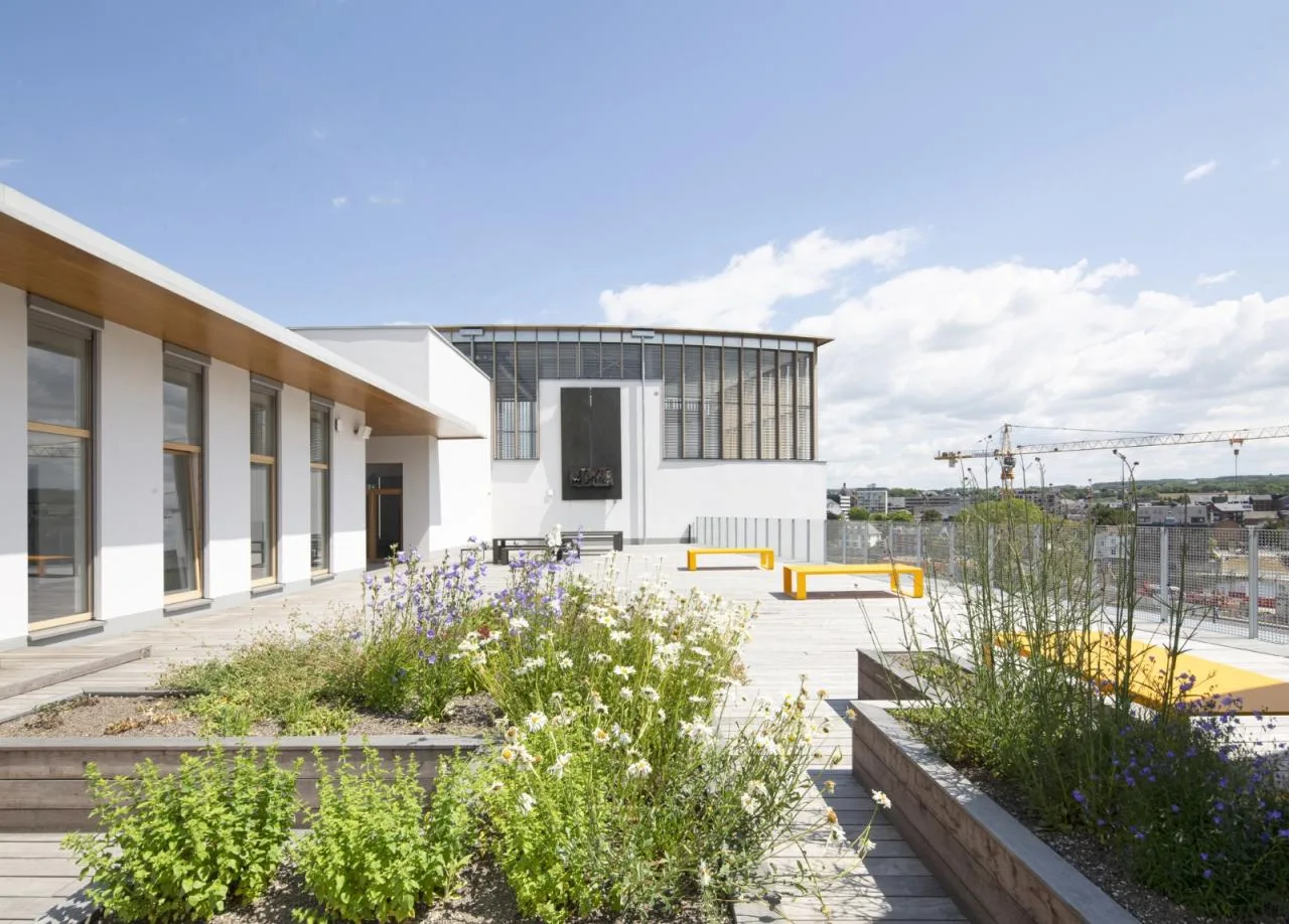 BIM Architecture | Namur Province Cultural Home/Philippe Samyn and Partners
