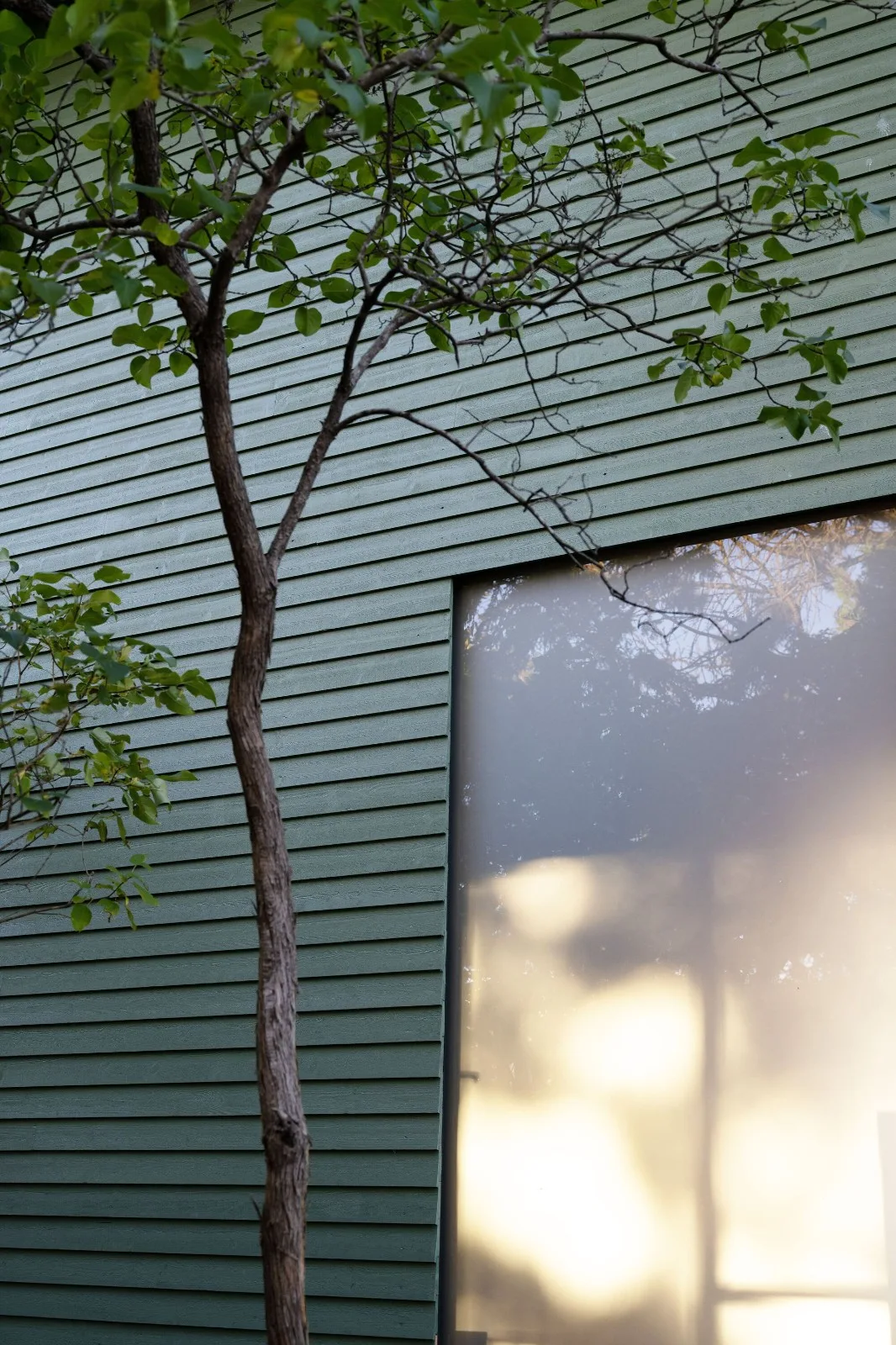 BIM Architecture | Residential Renovation at Sorbyhaugen 24, Oslo/MORFEUS Arkitekter