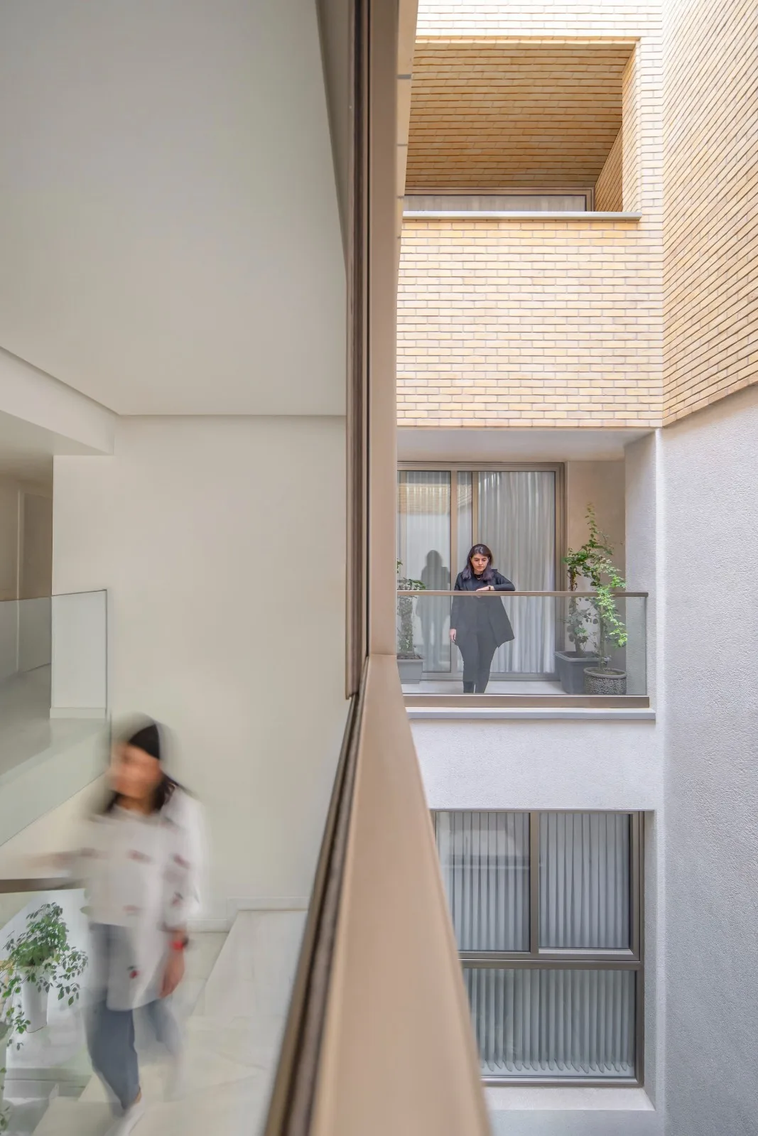 BIM Architecture | 2 IVANs, 2 Houses/HAMAAN Studio