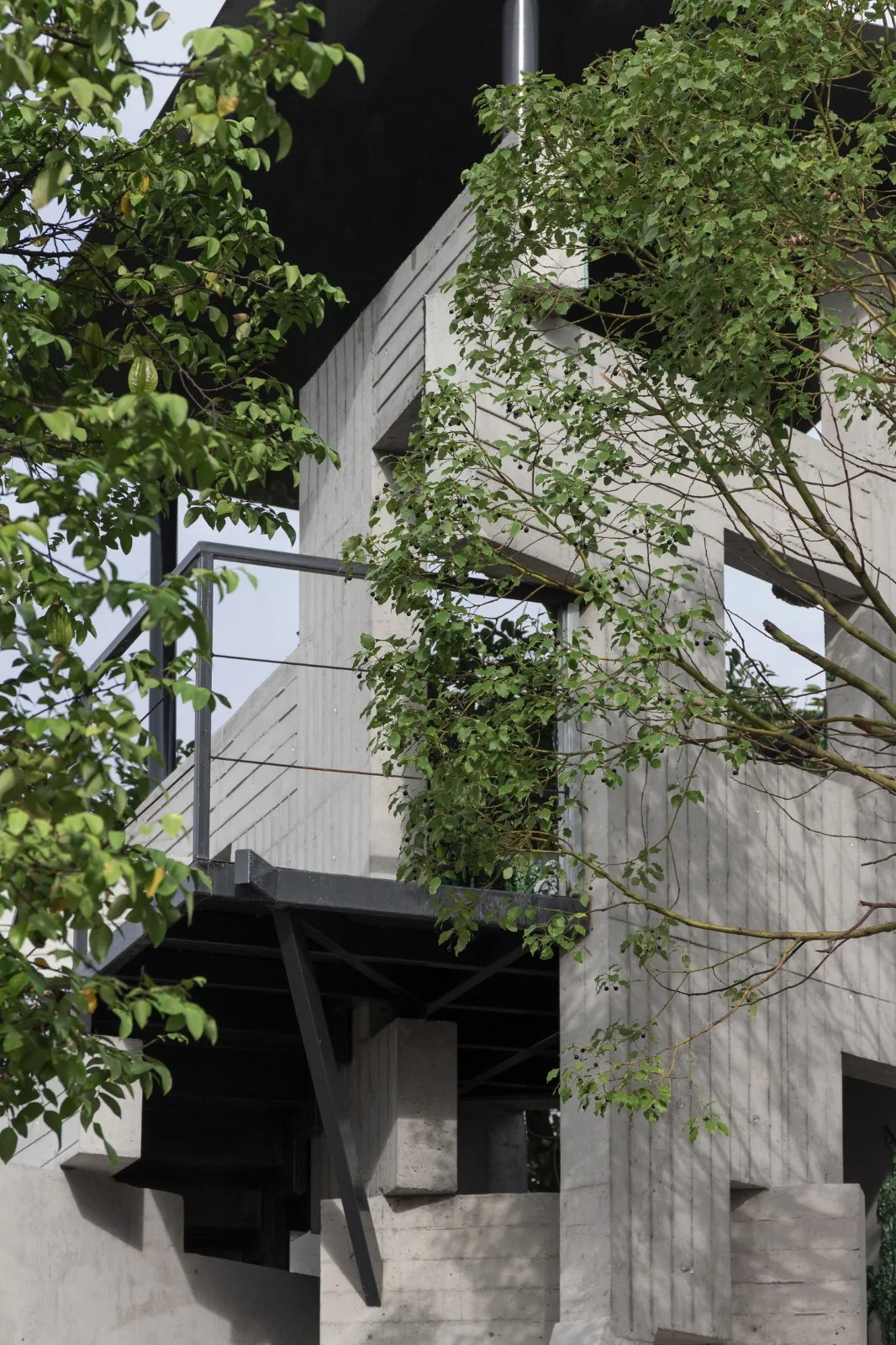 BIM architecture | lush ruins, vertical natural towers/cooperative construction