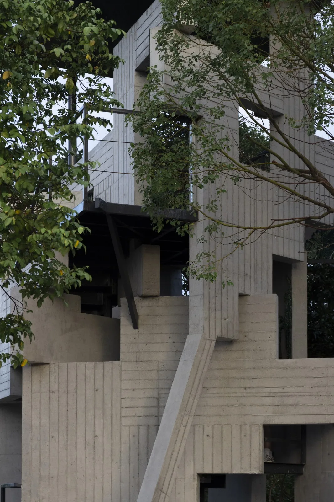 BIM architecture | lush ruins, vertical natural towers/cooperative construction