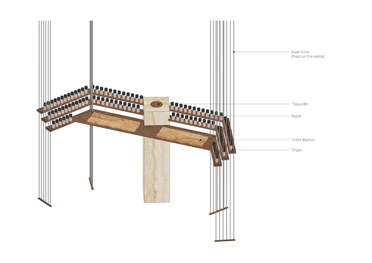BIM Architecture | 15 ESSENTIALS Fifteen Elements/Dongqi Design Building Habitat Design