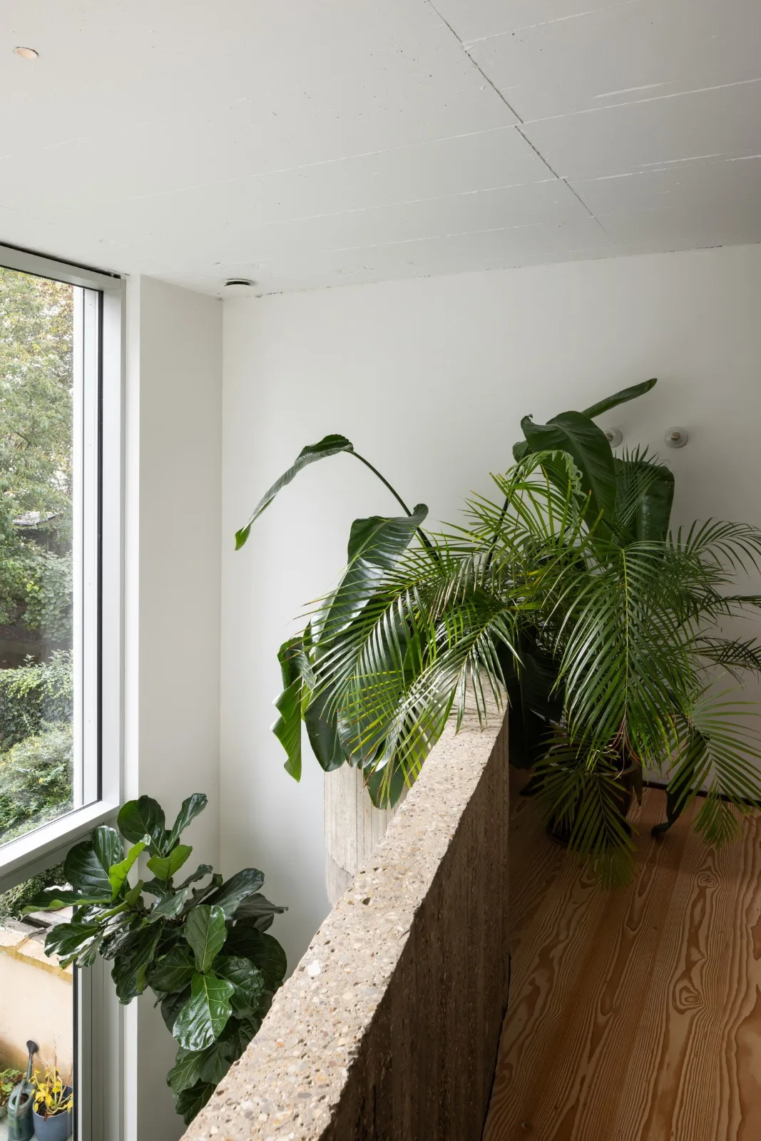 BIM Architecture | WELL Residential/Memo Architect
