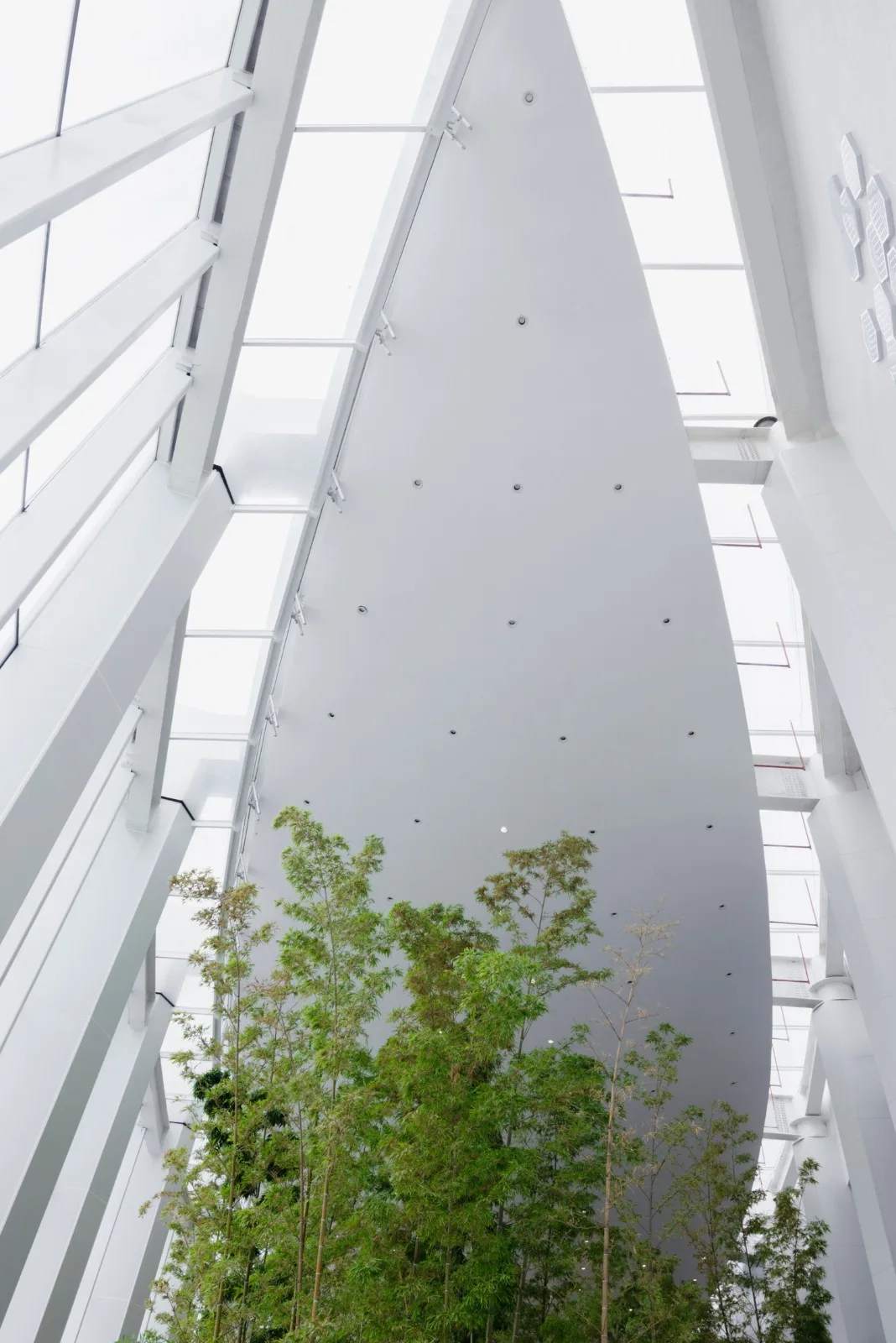 BIM Architecture | Wuhan Dongxihu Cultural Center/China Academy of Engineering Large Equipment Studio