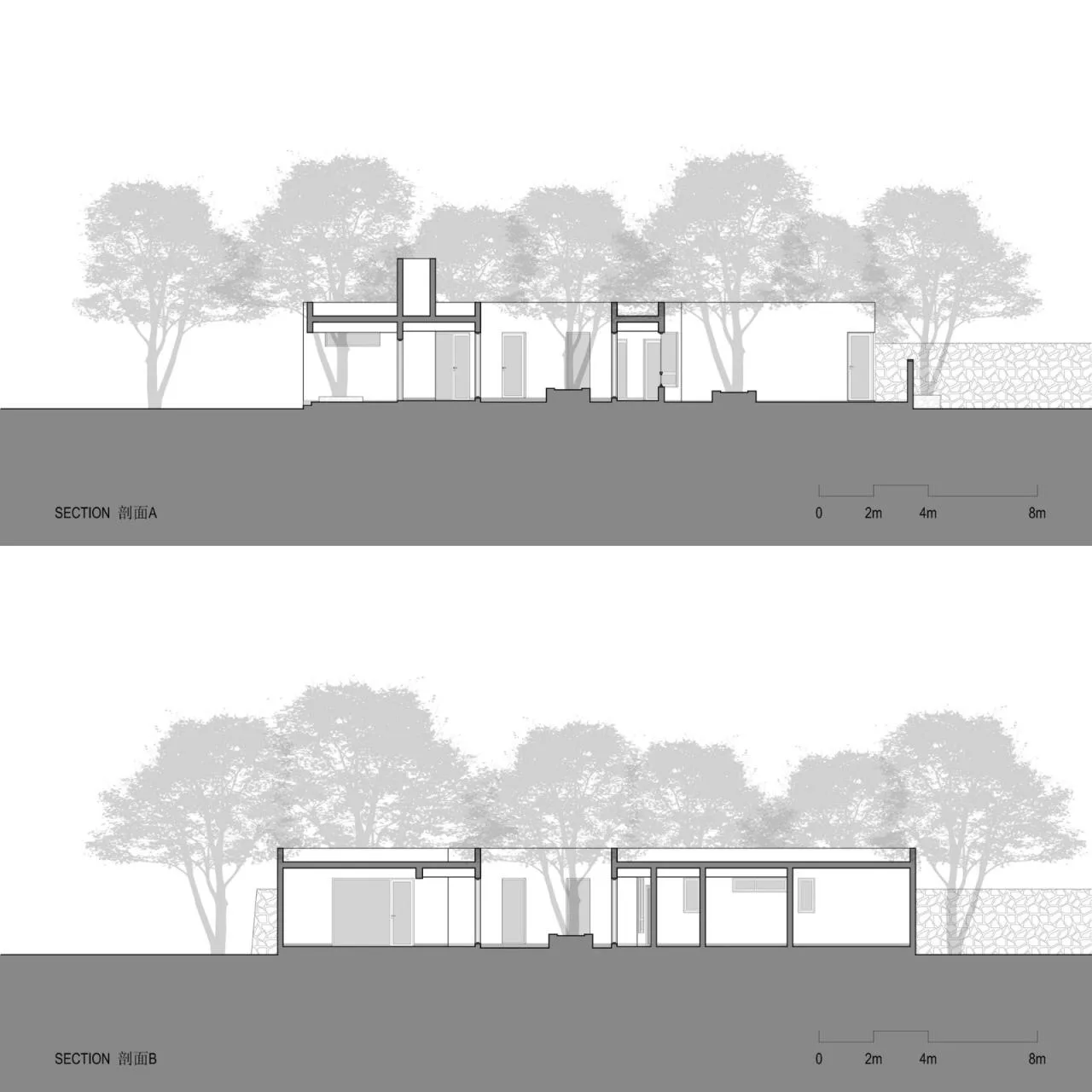 BIM architecture | Yard under longan tree/on-site buildings