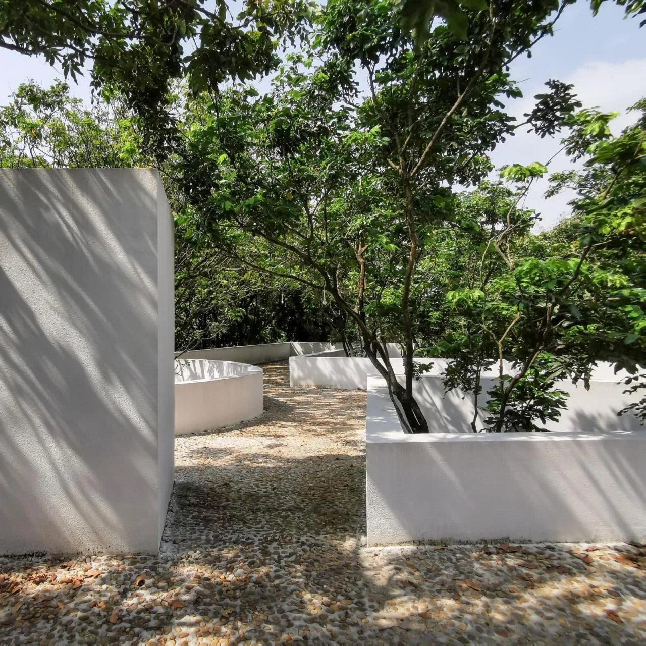 BIM architecture | Yard under longan tree/on-site buildings