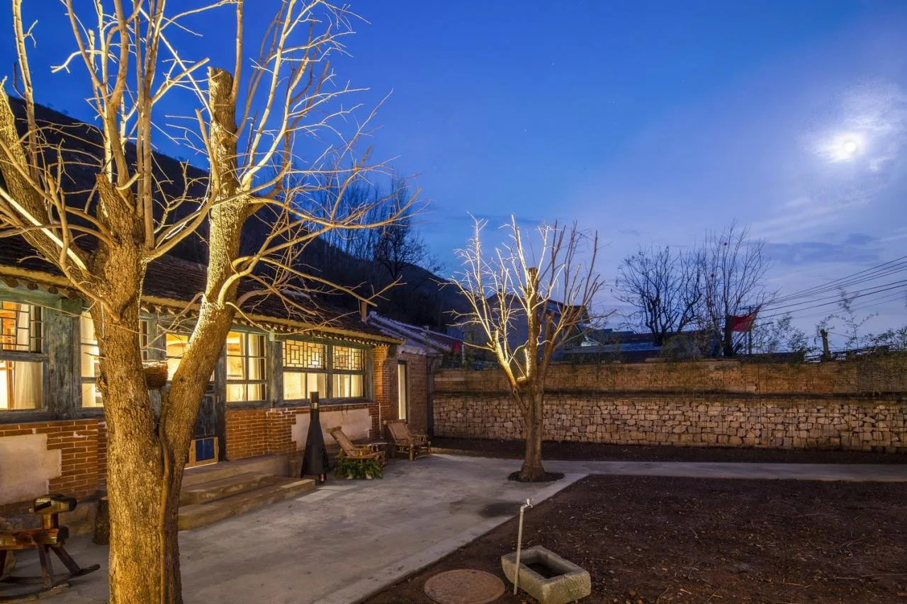 BIM Architecture | Backyard · Liushi Port No.1 Courtyard Renovation/GW Space Design