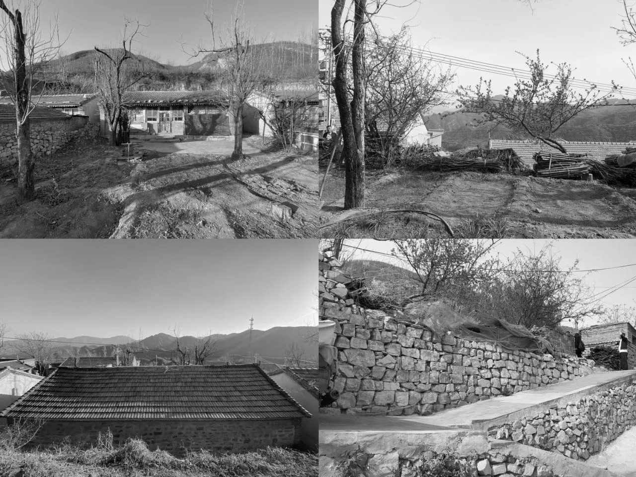 BIM Architecture | Backyard · Liushi Port No.1 Courtyard Renovation/GW Space Design
