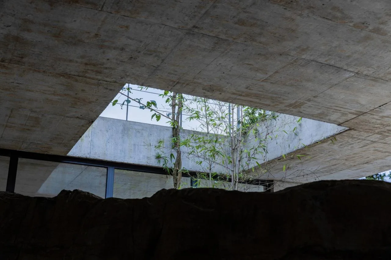 BIM Architecture | Shiyangshan No.1 Residential/Lowercase Architecture Firm
